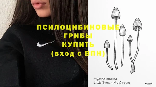 спиды Магас