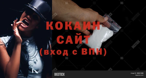 спиды Магас