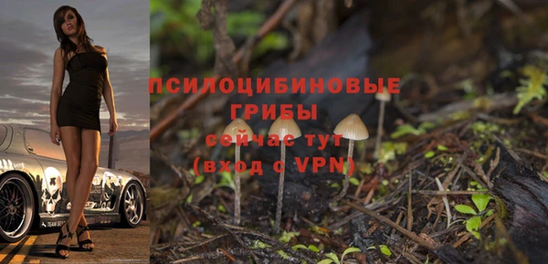 спиды Магас