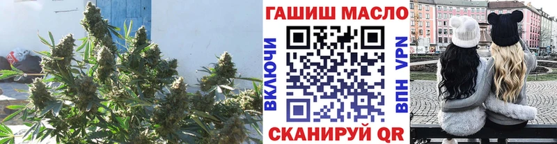 Дистиллят ТГК Wax  Купить закладки  Истра 